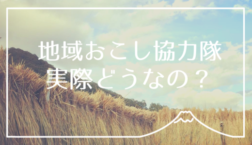 地域おこし協力隊やるならUターンがおすすめ。個人事業主(民泊経営)と兼業する「パラレルキャリア」という働き方の実際